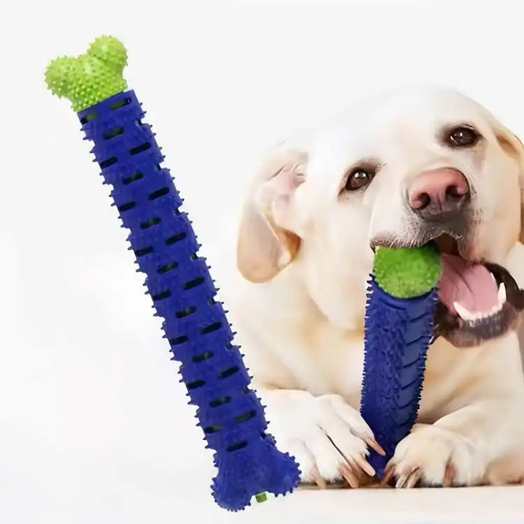 Dog Tooth Cleaning