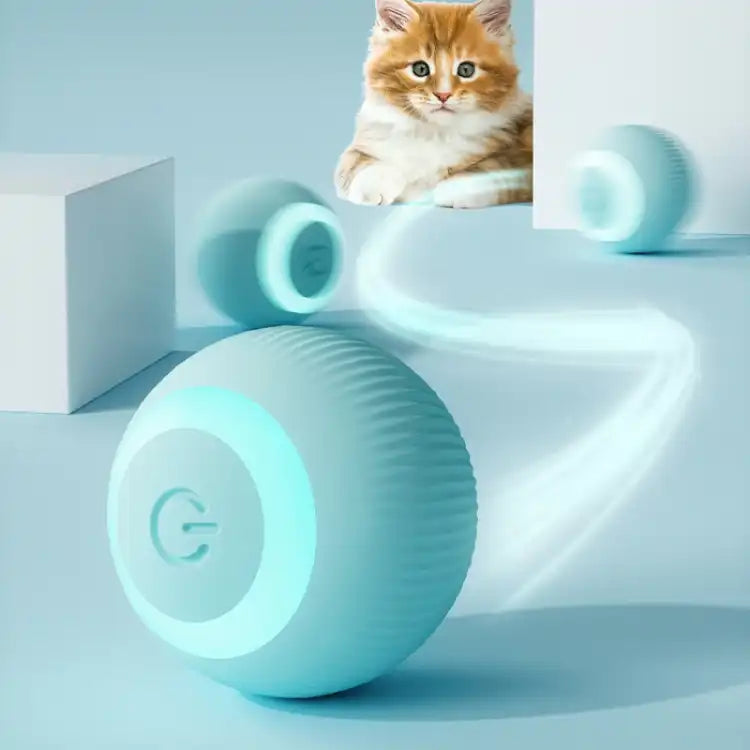 Electric Cat Toys