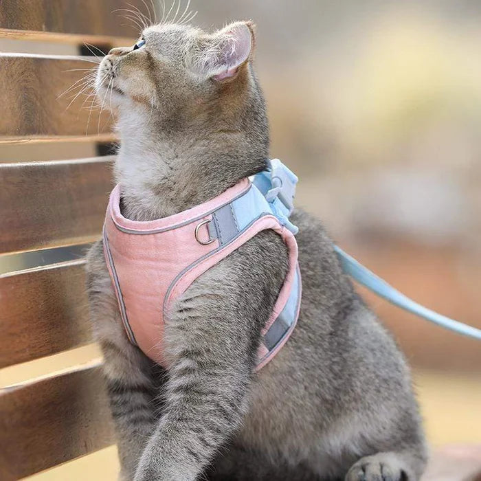 ⚡⚡ Promotion 48% OFF - Luminous Cat Vest Harness and Leash Set(⚡⚡BUY 3 FREE SHIPPING)