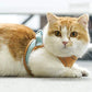 ⚡⚡ Promotion 48% OFF - Luminous Cat Vest Harness and Leash Set(⚡⚡BUY 3 FREE SHIPPING)