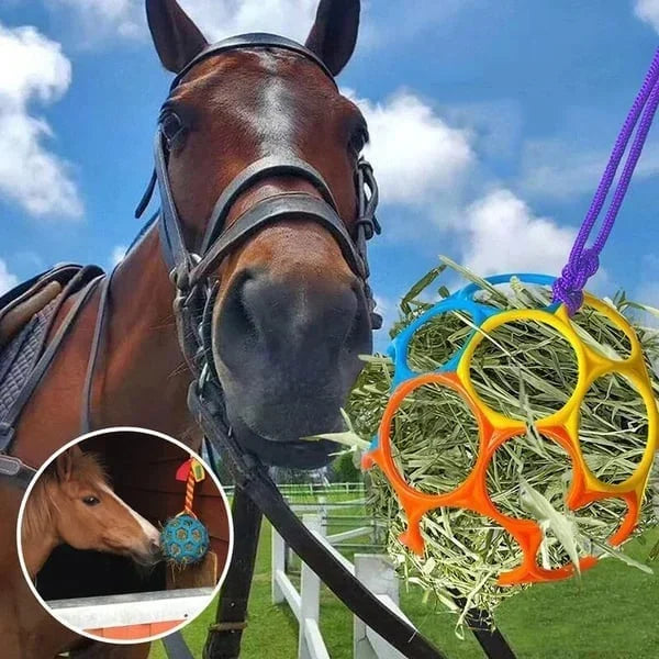 🔥Pay 2 Get 3 💥Horse Treat Ball Free Shipping