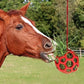 🔥Pay 2 Get 3 💥Horse Treat Ball Free Shipping