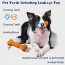Dog Toothbrush Chew Sticks — Teeth Cleaning Chew Toys for Small/Medium/Large Dogs, Random Colors