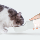 Traveling Out Portable Dog Water Dispenser — 258ml Water + 200g Food, Leak‑Seal, Shoulder Strap