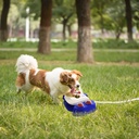 Automatic Dog Water Fountain Step-On Sprinkler with 4 Shower Balls, 2 Outlet Sizes & Inlet Connector — Blue or Yellow