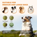 Automatic Dog Ball Launcher — 26–79 ft Range, 5200mAh Rechargeable, Remote & 6 Balls (Orange)