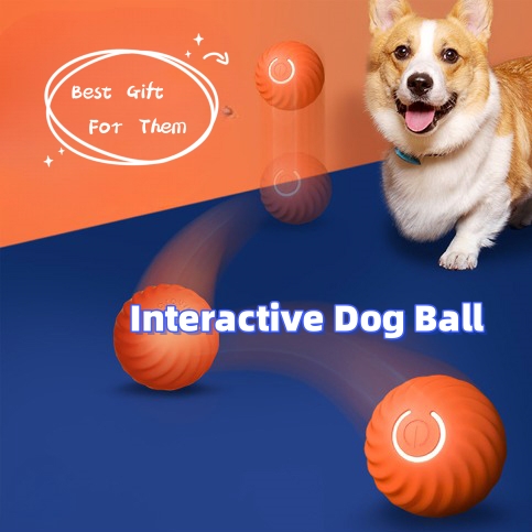 Dog Chew & Jump Ball — Thick Rubber Core with Plastic Shell, USB-Powered Interactive Chase Toy