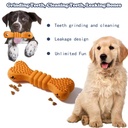 Dog Chew Toys 2-Pack — Toothbrush-Style Cleaning Chew Sticks for Puppies, Small/Medium/Large Dogs