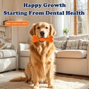 Dog Chew Toys 2-Pack — Toothbrush-Style Cleaning Chew Sticks for Puppies, Small/Medium/Large Dogs