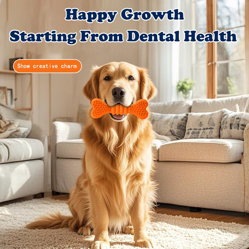 Dog Chew Toys 2-Pack — Toothbrush-Style Cleaning Chew Sticks for Puppies, Small/Medium/Large Dogs
