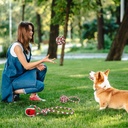 Set of 5 Christmas Rope Dog Chew Toys — Polyester/Cotton Interactive Puppy Toys for Small & Medium Dogs