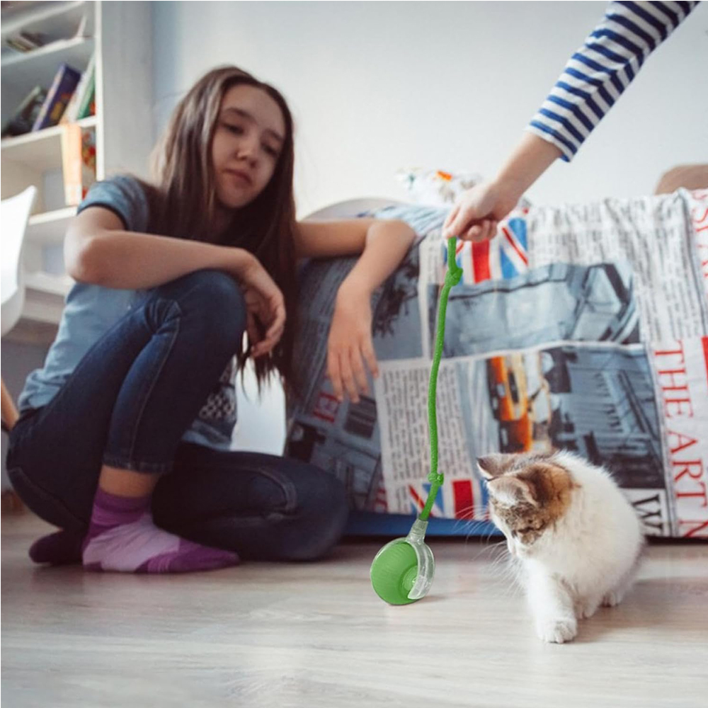 Interactive Rolling Cat Ball — Motion-Activated Rechargeable Toy with LED Lights, 2 Play Modes, Silicone/ABS, IP54
